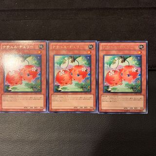 ナチュル・チェリー R