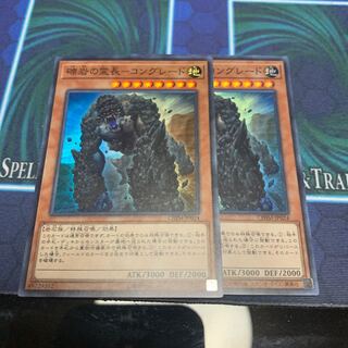 礫岩の霊長-コングレード