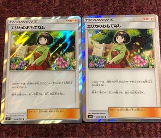 エリカのおもてなし 2枚セット