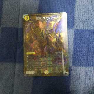 煌龍 サッヴァーク/サッヴァークDG