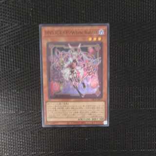 M∀LICE〈P〉White Rabbit スーパーレア DBCB-JP015 【木林堂】