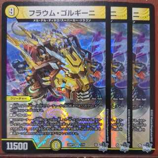 フラウム・ゴルギーニ VR 1/74