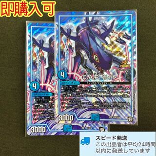 C.A.P. カイト 2枚 09030159