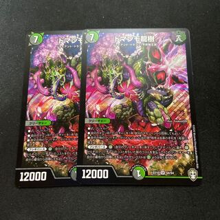 ドマンモ龍樹 2枚セット