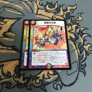 即日発送　蒼龍の大地　2枚