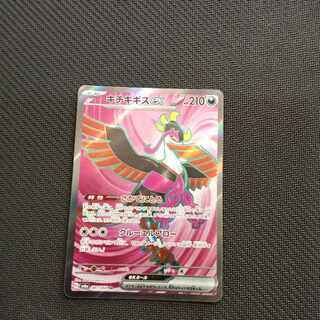 キチキギスex SR 081/064