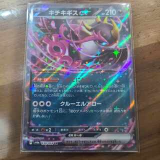 キチキギスex RR 038/064