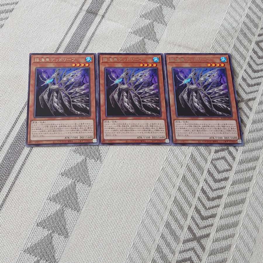 揺海魚デッドリーフ