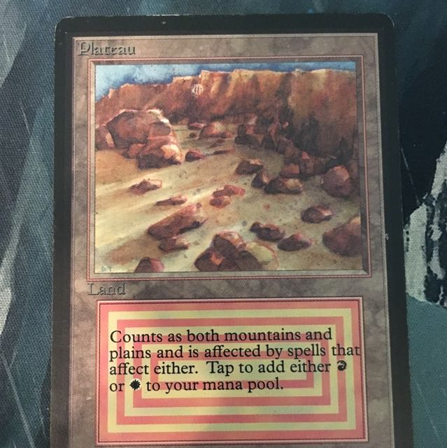 LEB ベータ Plateau β