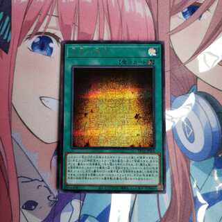 Millennium Revelation