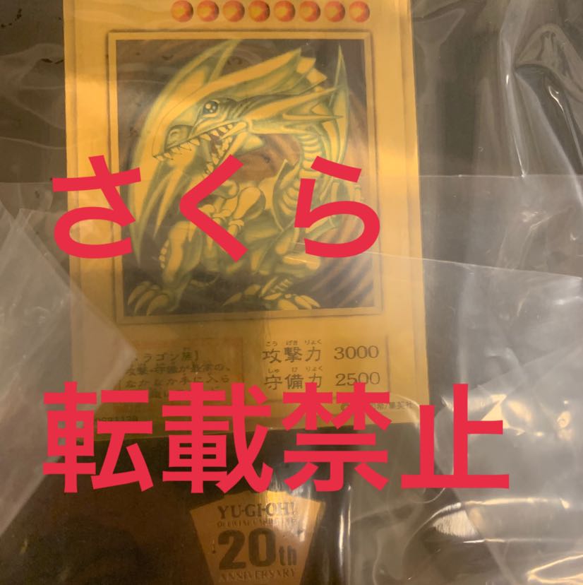 純金青眼 商品説明欄必須 B