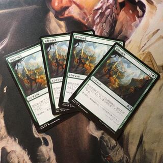 荒野の再生 日4枚セット