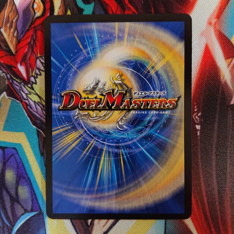 「雷光の聖騎士」