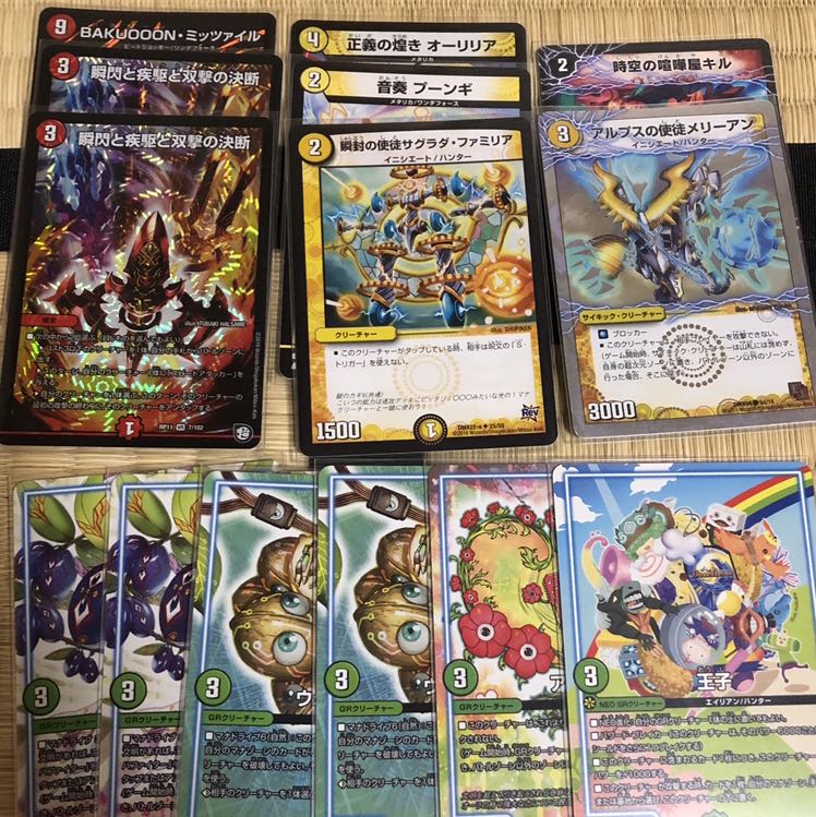 はやてまる様専用 1枚