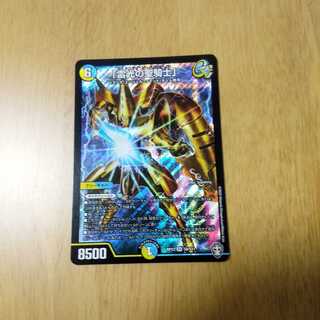 「雷光の聖騎士」　ライトニングソードパラディン