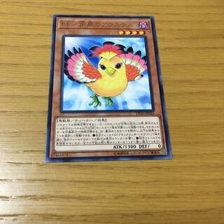 BF-南風のアウステル R