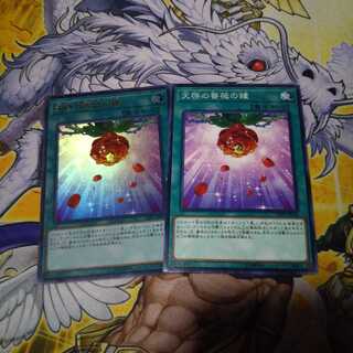 天啓の薔薇の鐘