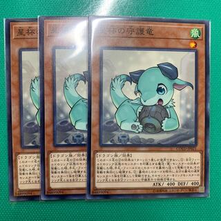 星杯の守護竜 N