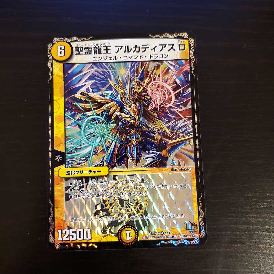 聖霊龍王 アルカディアスD