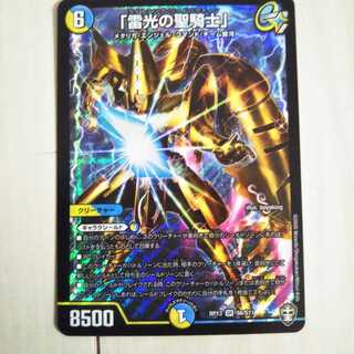 「雷光の聖騎士」