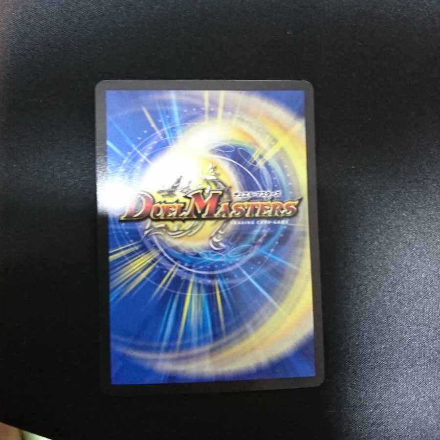 闘争類拳嘩目 ステゴロ・カイザー|お清めシャラップ