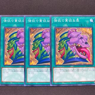 強欲で貪欲な壺　3枚セット