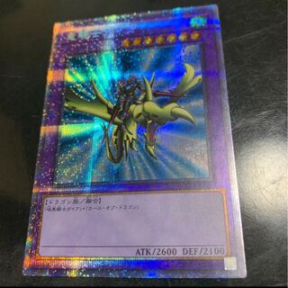 ワイト様専用　竜騎士ガイア  プリズマティック