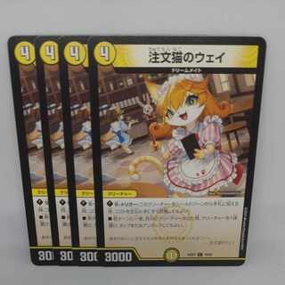 Order Cat's Way C 70/89