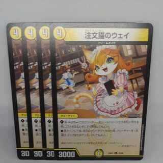 注文猫のウェイ C 70/89