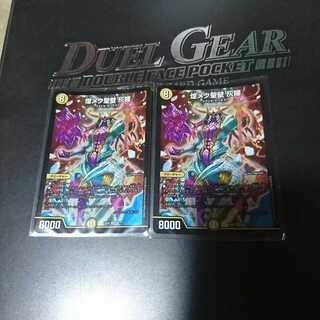 煌メク聖壁 灰瞳