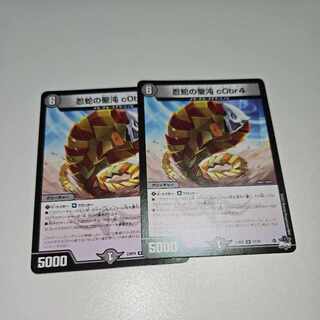 忍蛇の聖沌 c0br4 R 17/74