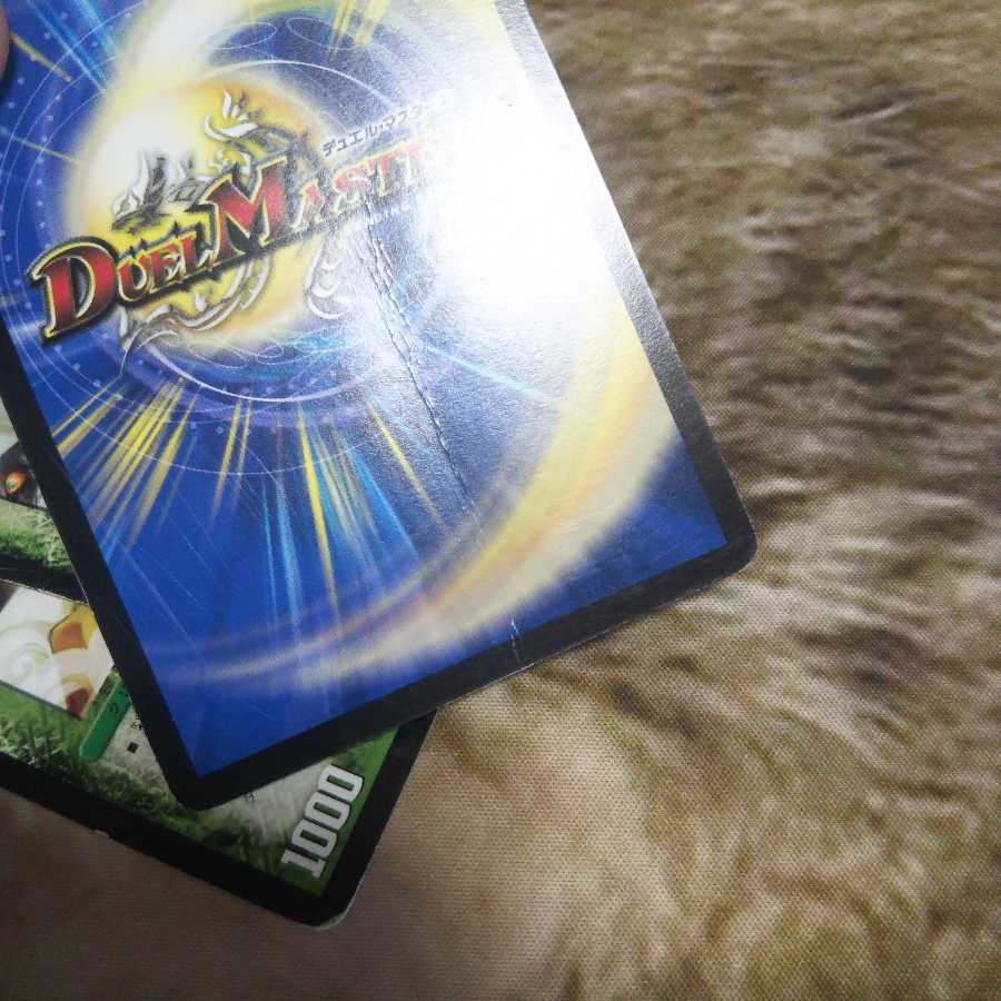 フィーバー・ナッツ5枚