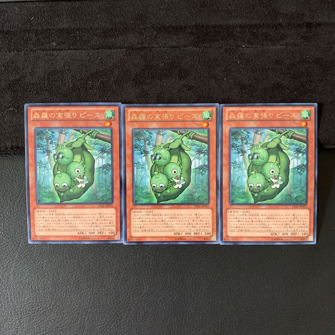 森羅の実張り ピース R