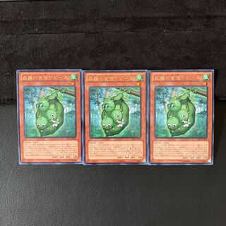 森羅の実張り ピース R