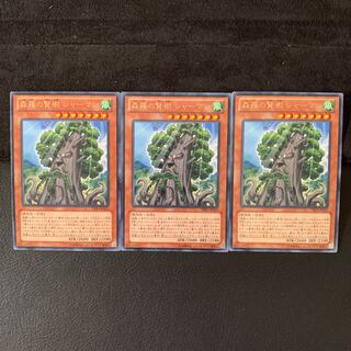 森羅の賢樹 シャーマン R