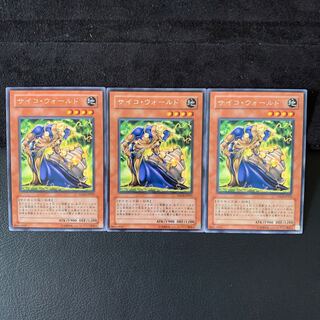 サイコ・ウォールド R