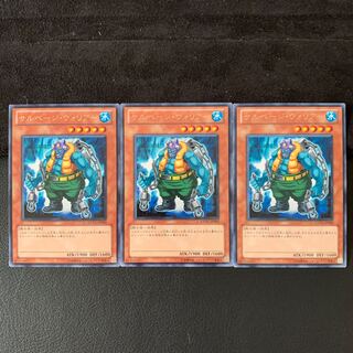 サルベージ・ウォリアー R