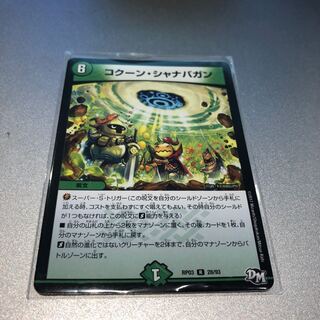 コクーン・シャナバガン