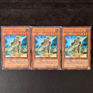 シールド・ウォリアー R