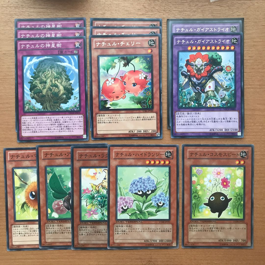 Naturia Sacred Tree and 13 others