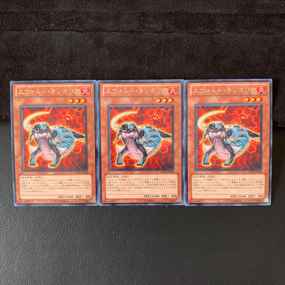 エヴォルド・カシネリア R