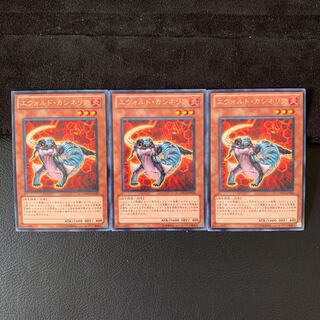 エヴォルド・カシネリア R