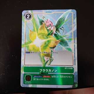 P-Rフラウカノン