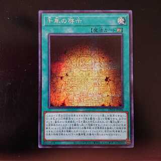 SEMillennium Revelation