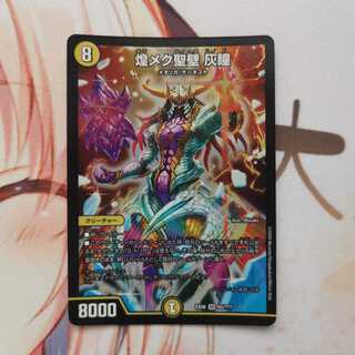 煌メク聖壁 灰瞳