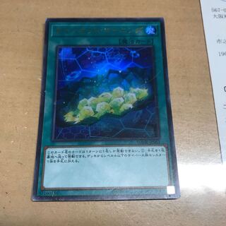 サイバネット・マイニング