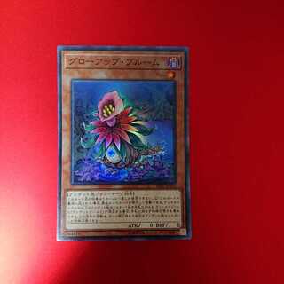 グローアップ・ブルーム