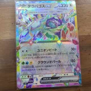 テラパゴスex RR 088/102 1枚