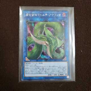 捕食植物ヴェルテ・アナコンダ SE