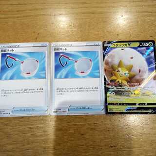 回収ネット2枚＋ワタシラガV